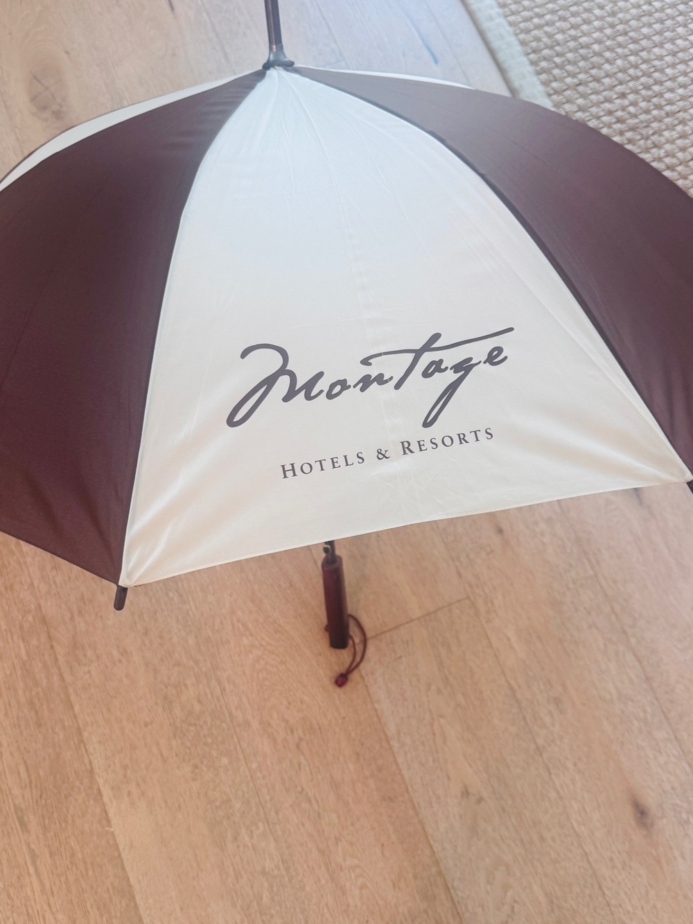 Montage Resort Laguna Beach California Resorts Umbrella I paid 475